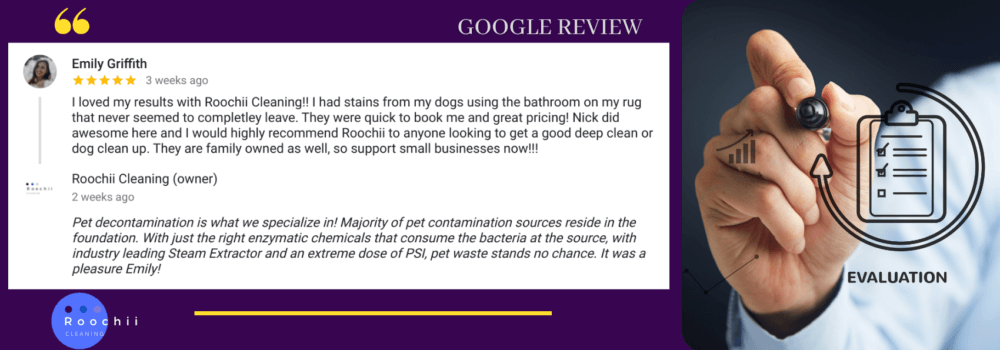 Emily Griffith’s 5-star review of Roochii Cleaning’s expert pet stain carpet cleaning service