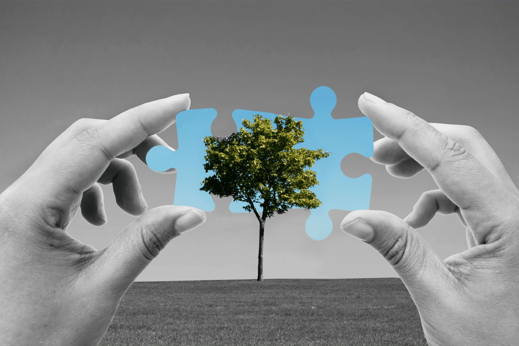 Hands holding puzzle pieces completing a picture of a green tree, symbolizing what is Green Seal Certified in sustainable practices
