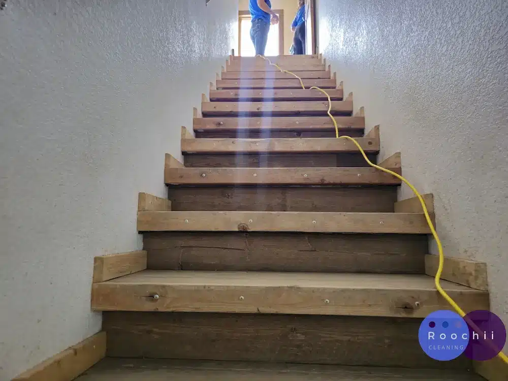 Roochii Cleaning is representing a trusted and efficient cleaning service in University Denver