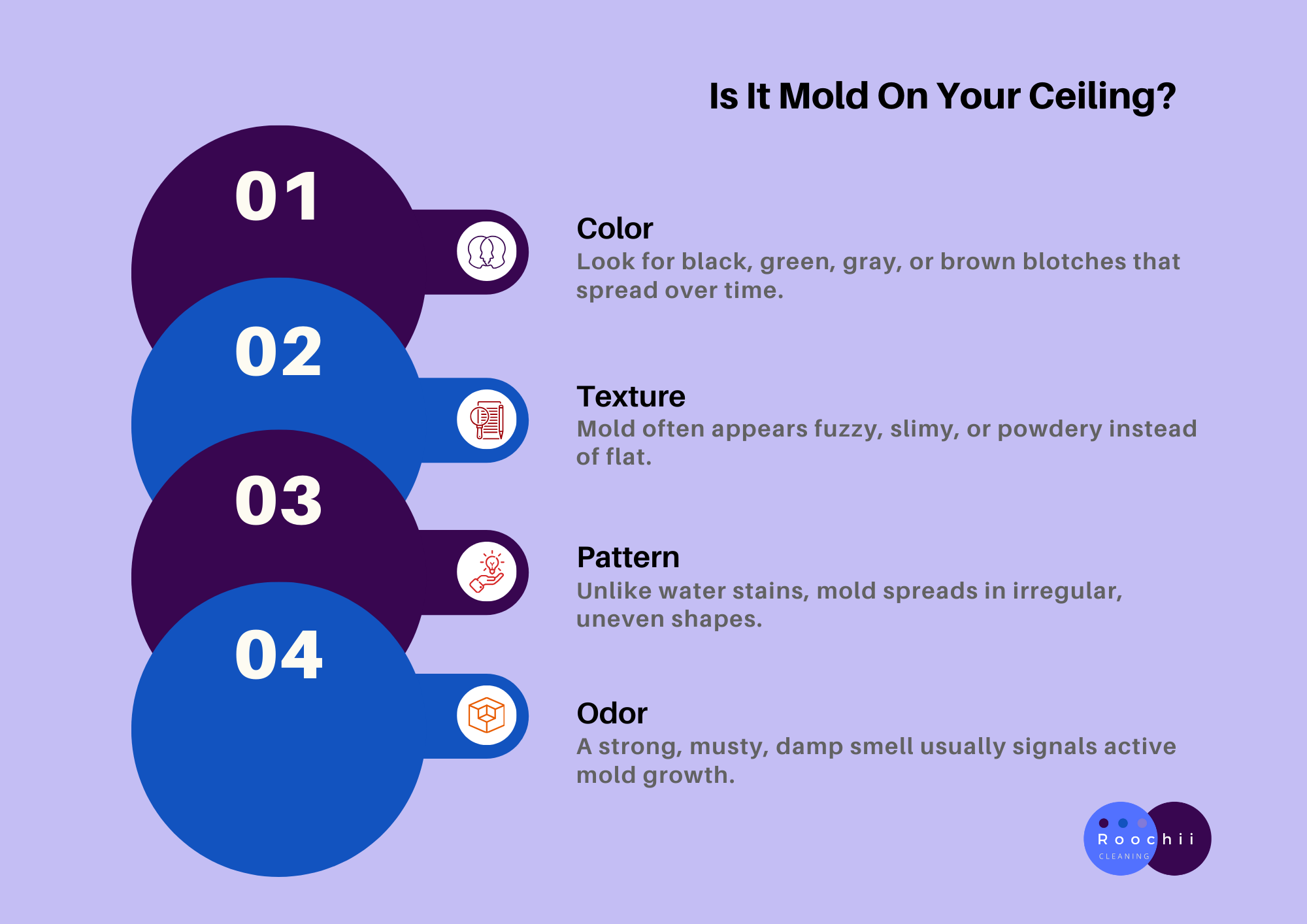Infographic explaining how to remove mold from ceiling by identifying mold through its color, texture, pattern, and odor