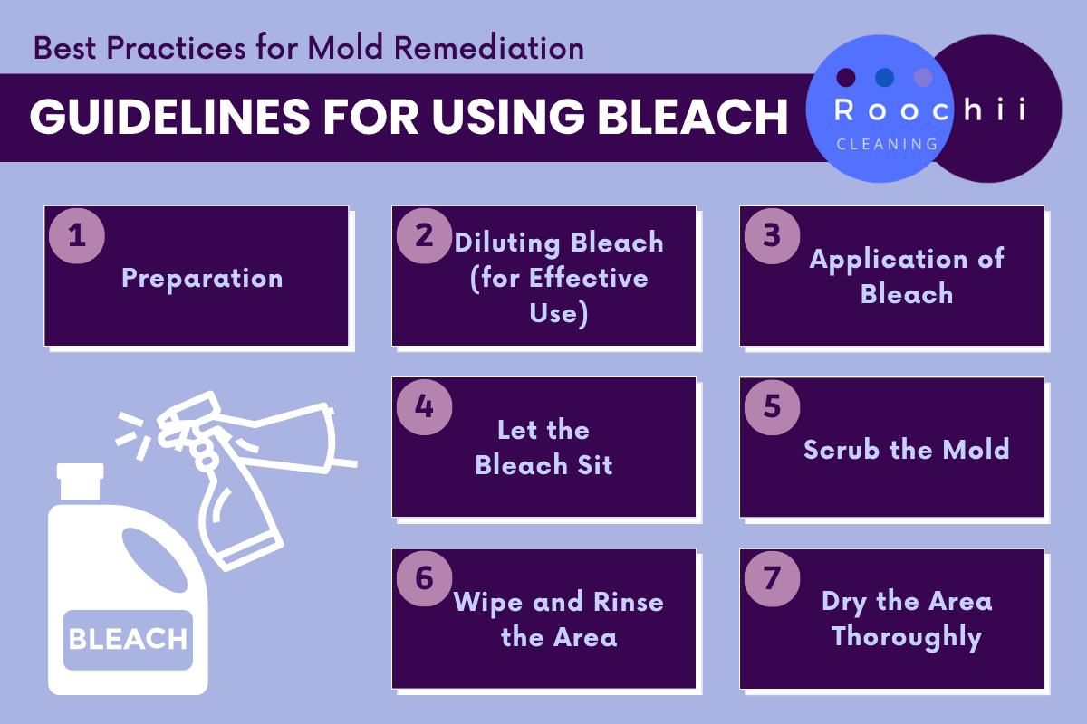Infographic showing step-by-step guidelines for using bleach to remove mold safely and effectively, part of Roochii Cleaning’s guide on bleach or vinegar for mold.