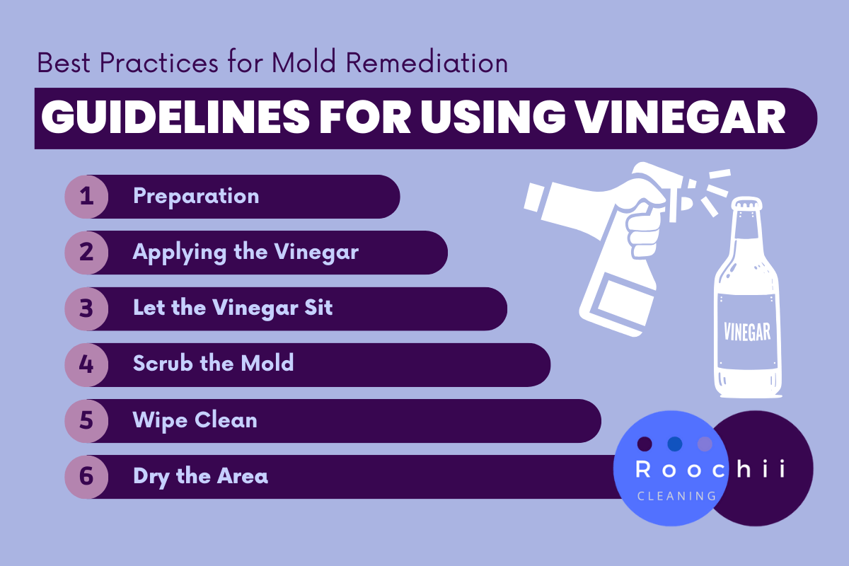 Infographic showing six-step guidelines for using bleach or vinegar for mold cleaning, created by Roochii Cleaning to illustrate safe mold removal using natural vinegar solutions.