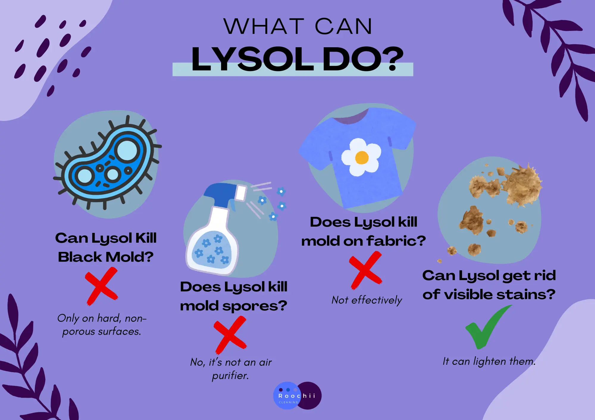 Does Lysol Kill Mold Effectively? A Quick Guide 2 Infographic explaining what Lysol can and cannot do, answering questions like “does Lysol kill mold,” “can Lysol kill black mold,” and “does Lysol kill mold spores.”