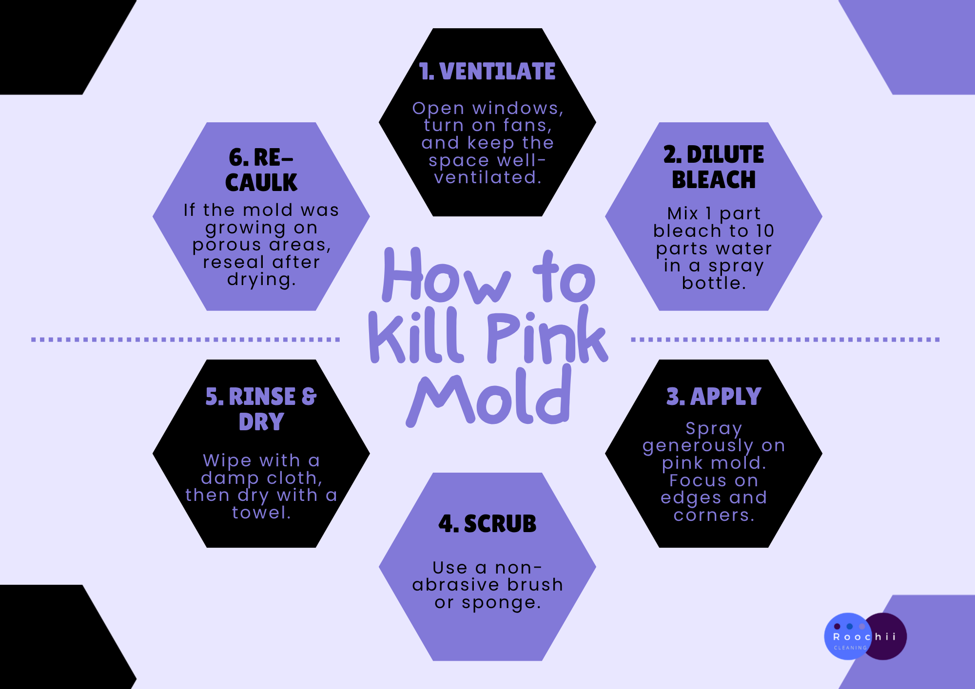 Does Bleach Kill Pink Mold Effectively? 2 Infographic showing step-by-step guide on how to kill pink mold using bleach.