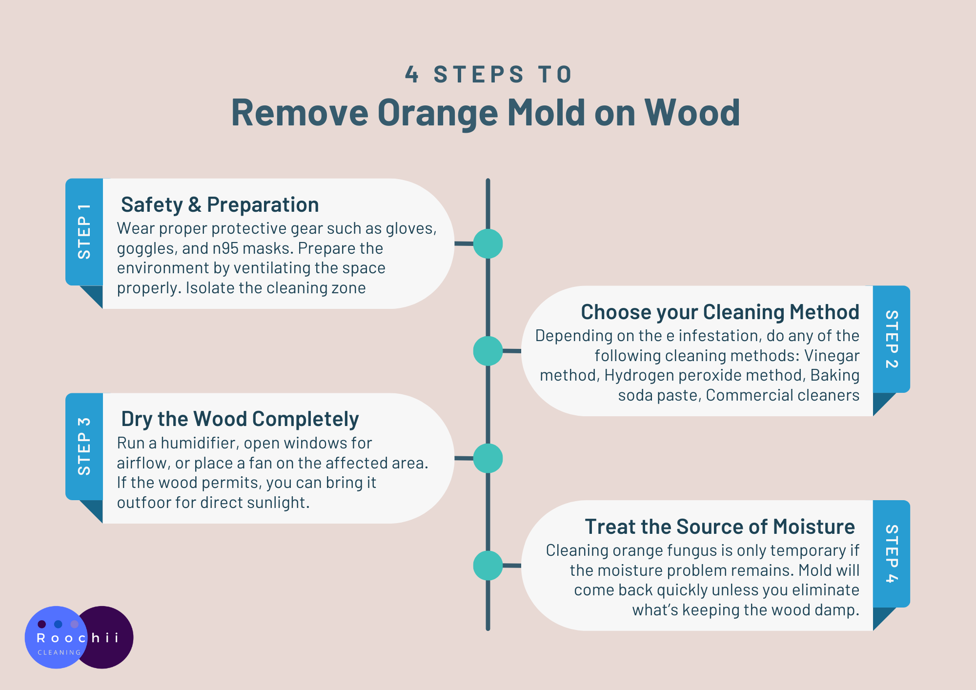 Orange Fungus on Wood: Removal & Prevention Guide 2 Infographic showing 4 steps to remove orange fungus on wood, including safety, cleaning methods, drying, and moisture control.