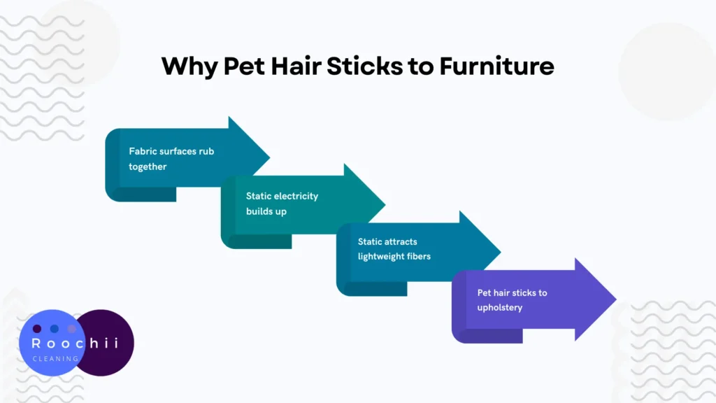Why Pet Hair Sticks to Furniture Pet hair sticks to furniture for several reasons. Static electricity, fabric type, and shedding cycles all play a role. Static Electricity and Why Pet Hair Clings to Fabric Static electricity plays a big role in how pet hair behaves. When fabrics rub together, they create a small electric charge. That charge attracts lightweight fibers such as pet fur. Dry indoor air increases static buildup. During colder months, heating systems remove moisture from the air. As a result, hair sticks more strongly to upholstery and blankets. Reducing static helps loosen hair from fabric surfaces. Anti-static sprays, dryer sheets, and light moisture can reduce this effect. Even wiping furniture with a slightly damp cloth can help break the charge. Furniture Materials That Attract the Most Pet Hair Some furniture fabrics hold onto pet hair more than others. Soft woven materials often trap fur deep in the fibers. Once hair settles into these fabrics, removing it becomes harder. Common fabrics that attract hair include: Velvet Corduroy Wool blends Loosely woven upholstery These materials act like tiny hooks that catch loose fur. Smooth fabrics perform better for pet owners. Leather, microfiber, and tightly woven synthetic fabrics tend to release hair more easily. Hair stays on the surface rather than embedding in the fibers. How Pet Shedding Cycles Affect Hair Buildup Pets shed year-round, but shedding often increases during seasonal changes. Many dogs and cats lose extra fur in spring and fall as their coats adjust to temperature shifts. Heavy shedding can quickly overwhelm furniture and floors. Even daily cleaning may not keep up during these periods. Regular grooming reduces the amount of loose hair in your home. Removing excess fur directly from your pet prevents much of it from reaching your couch or chairs.