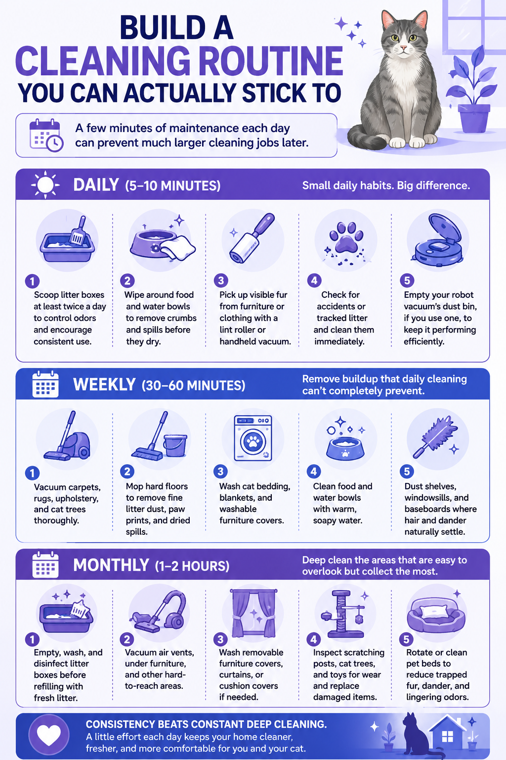 Infographic outlining a practical cleaning routine for a house with cats, including daily, weekly, monthly, and seasonal tasks to manage fur, litter, and odors.